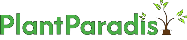 Plantparadis